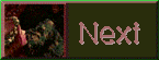 Next