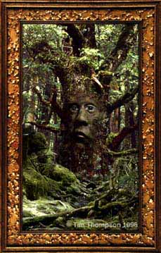 Neuheidentum: Die Natur ist heilig